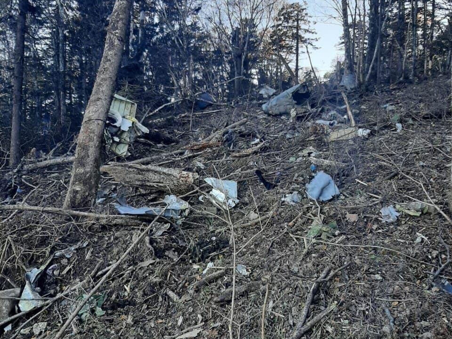 Была ли авиакатастрофа. Катастрофа АН-24 В Донецке. Крушение АН. Тела жертв авиакатастрофы.
