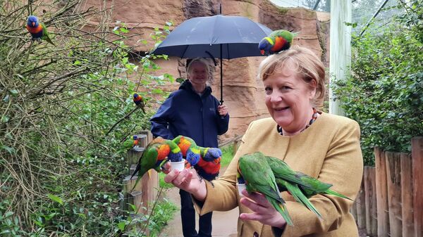 Меркель подверглась нападению попугая, когда она кормила птиц в парке
 - Sputnik Moldova-România
