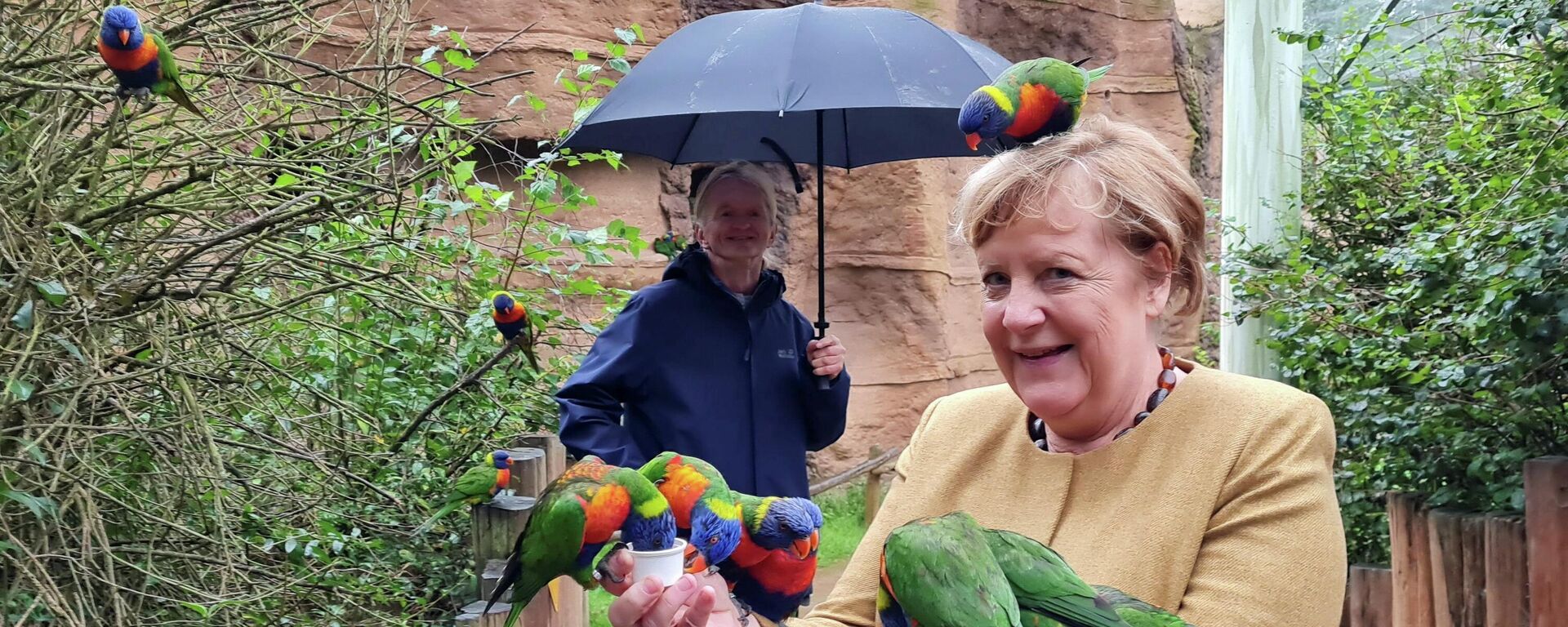 Ангела Меркель покормила птиц в парке - Sputnik Молдова, 1920, 24.09.2021
