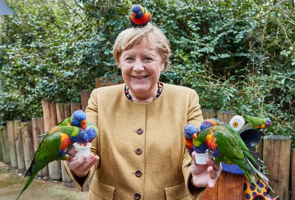 Cancelarul german Angela Merkel pozează în timp ce hrănește lorichete la Bird Park din Marlow, nordul Germaniei, pe 23 septembrie 2021, cu câteva zile înainte de alegerile federale germane din 26 septembrie. - Sputnik Moldova-România