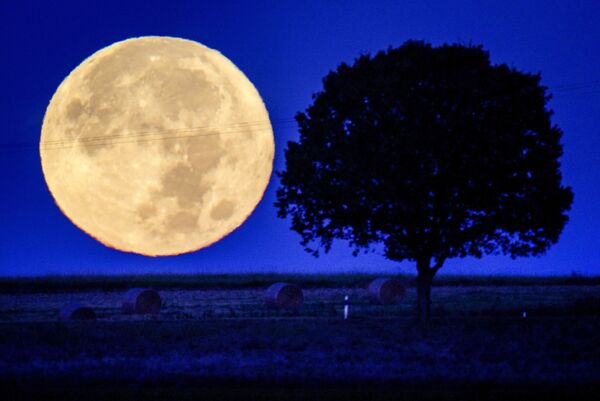Luna seridică deasupra dealurilor din regiunea Taunus de lângă Wehrheim, Germania, marți devreme, 21 septembrie 2021. - Sputnik Moldova-România