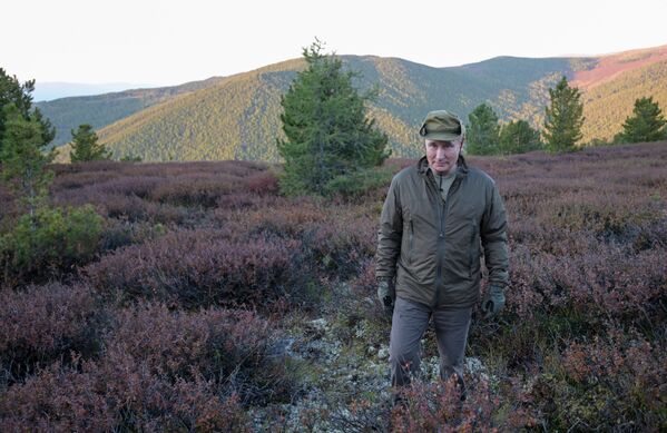 Septembrie 2021. Președintele rus Vladimir Putin, făcând o plimbare prin taiga. La începutul lunii septembrie, după încheierea deplasării de lucru în ținutul Primorie și regiunea Amur, Vladimir Putin s-a oprit câteva zile în Siberia, unde a petrecut o scurtă vacanță. - Sputnik Moldova