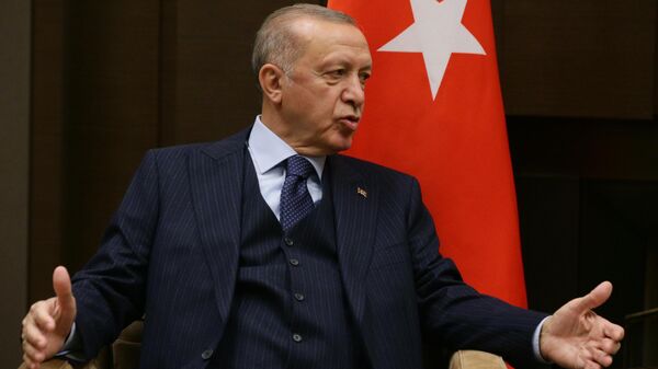 Президент РФ В. Путин провел переговоры с президентом Турции Р. Эрдоганом - Sputnik Молдова