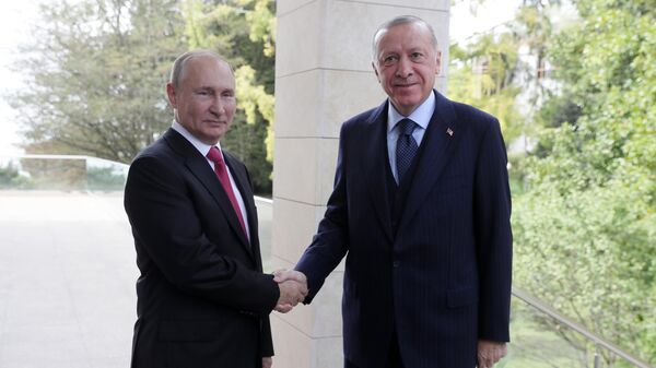 Президент РФ В. Путин провел переговоры с президентом Турции Р. Эрдоганом - Sputnik Moldova-România