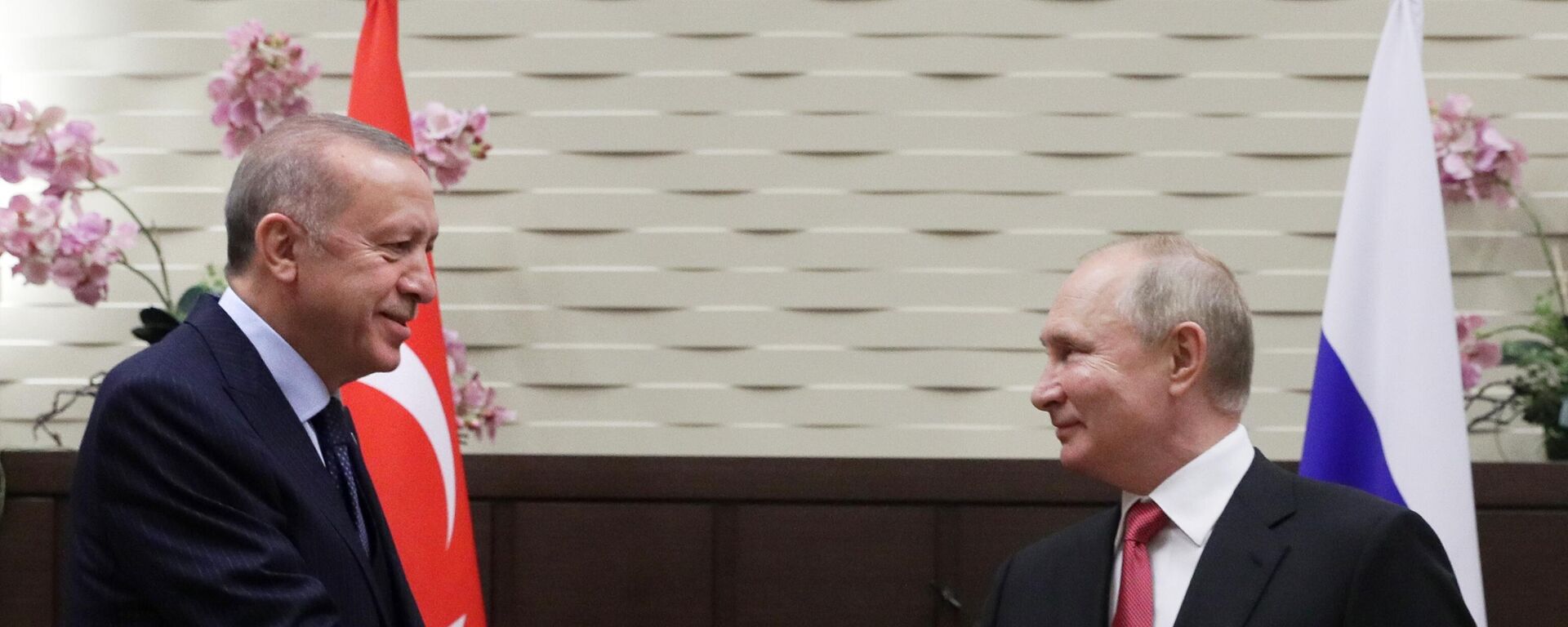 Президент РФ В. Путин провел переговоры с президентом Турции Р. Эрдоганом - Sputnik Moldova, 1920, 30.09.2021