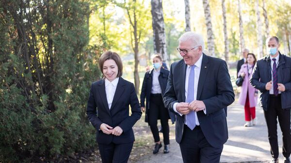 Maia Sandu și Frank-Walter Steinmeier - Sputnik Moldova