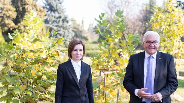 Майя Санду и Франк-Вальтером Штайнмайером посадили дерево в Ботаническом саду - Sputnik Молдова