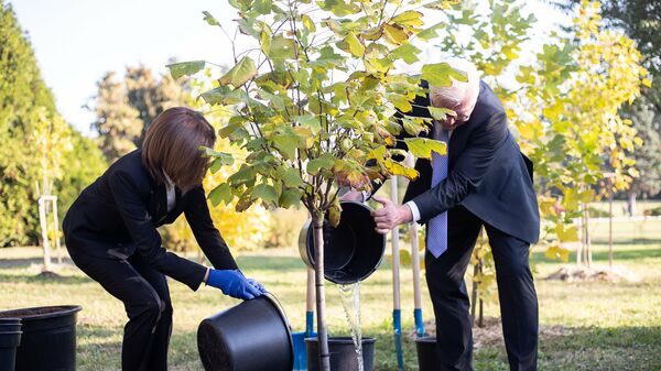 Майя Санду и Франк-Вальтером Штайнмайером посадили дерево в Ботаническом саду - Sputnik Moldova