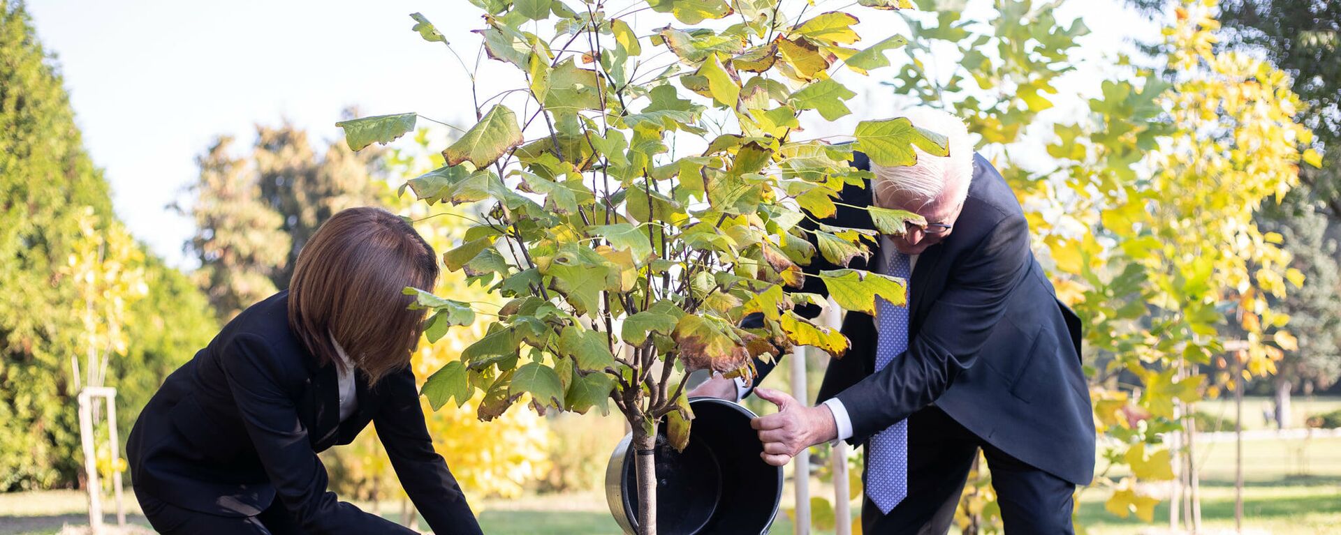 Майя Санду и Франк-Вальтером Штайнмайером посадили дерево в Ботаническом саду - Sputnik Moldova, 1920, 06.10.2021