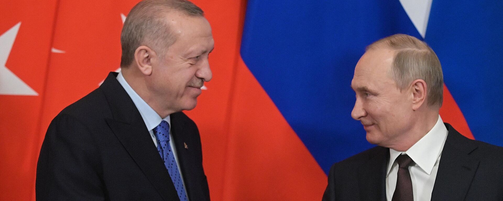 Президент РФ В. Путин встретился с президентом Турции Р. Эрдоганом - Sputnik Moldova, 1920, 05.08.2022