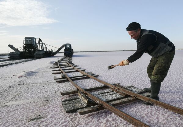 Extragerea de sare roz de către angajații întreprinderii de producere a sării din Crimeea pe lacul Sasyk-Sivash lângă Evpatoria. Colectarea sării începe la mijlocul lunii septembrie, când, sub influența unuia dintre microorganismele conținute în saramura lacului, sarea devine roz. - Sputnik Moldova-România
