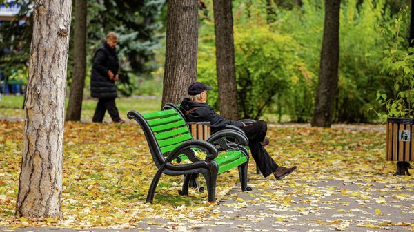 Конец агитации: в Молдове наступил день тишины перед воскресным голосованием - Sputnik Молдова