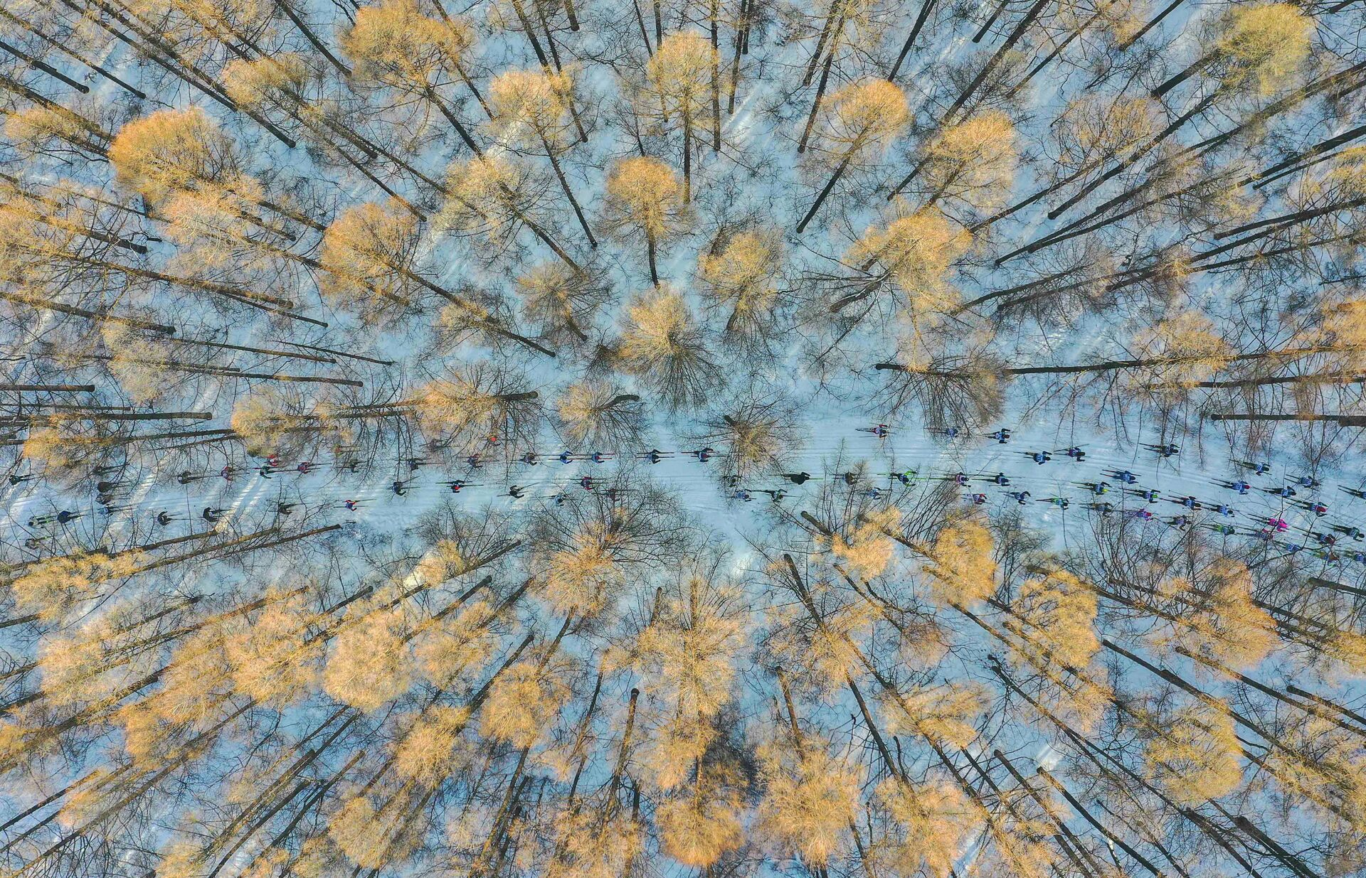 Снимок На лыжах в весну китайского фотографа Чан Сюй, победивший в категории Моя Планета, одиночные фотографии конкурса имени Стенина - Sputnik Moldova, 1920, 25.10.2021
