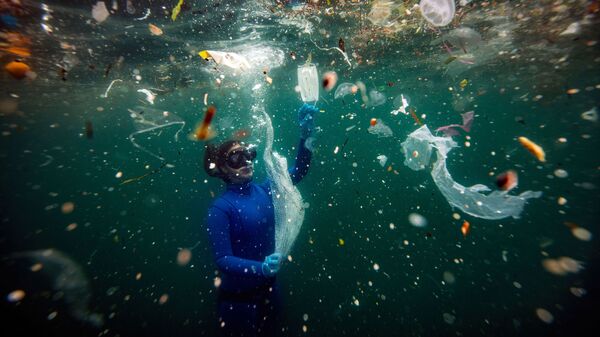 Снимок Новая опасность для подводного мира: отходы COVID-19 турецкого фотографа Шебнема Кошкуна, получивший гран-при конкурса имени Стенина - Sputnik Молдова