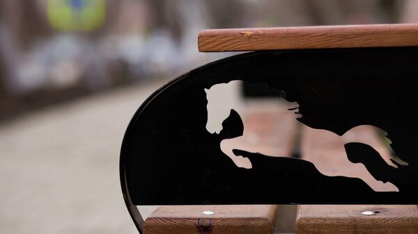 Черная лошадь на парковой скамейке в Комрате. Это символ Комрата - Черная лошадь (Комур Ат), в переводе с гагаузского - Sputnik Молдова