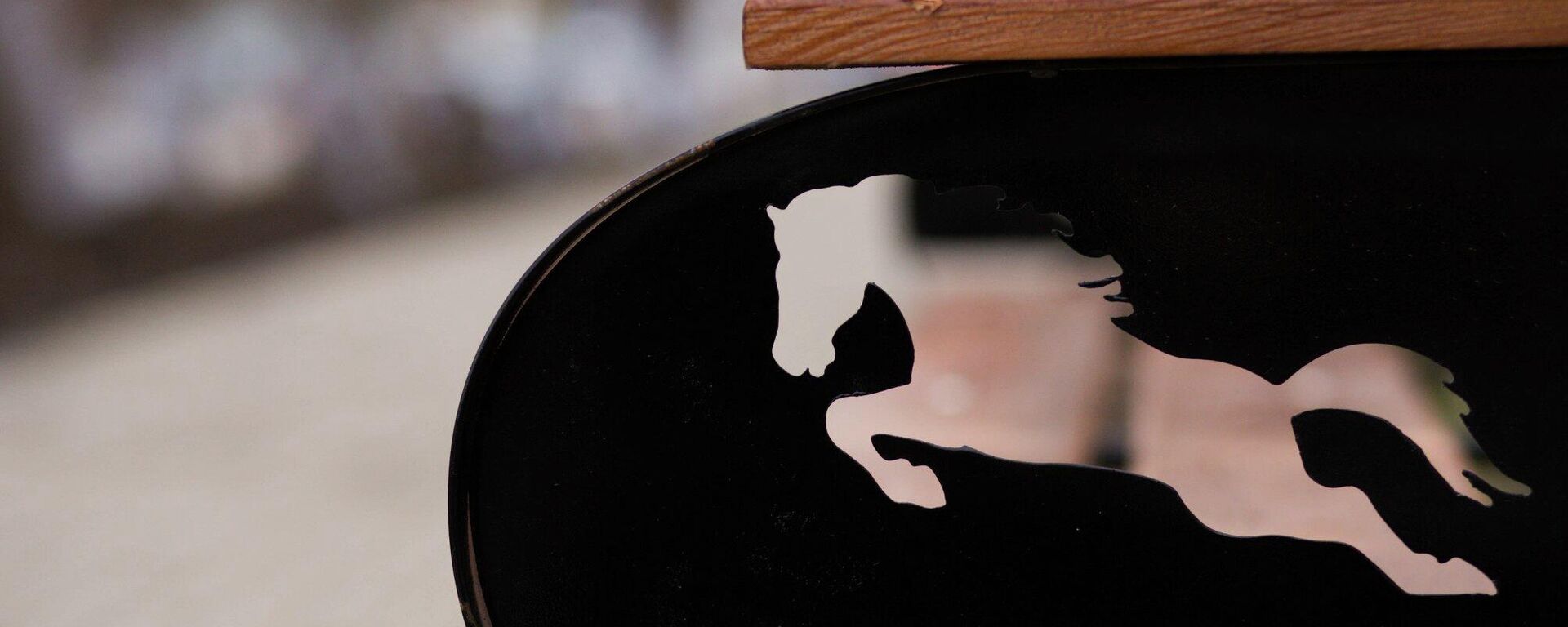 Черная лошадь на парковой скамейке в Комрате. Это символ Комрата - Черная лошадь (Комур Ат), в переводе с гагаузского - Sputnik Молдова, 1920, 26.10.2021