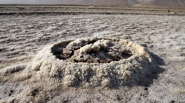 Кристаллизованные минералы высохшего морского участка южной части Мертвого моря - Sputnik Молдова