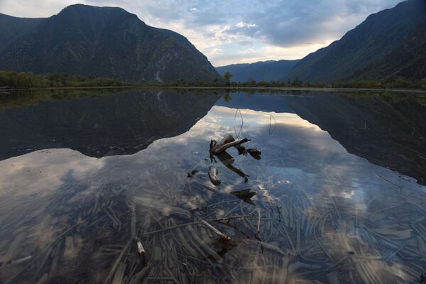Capul Kyrsay și malul sudic al lacului Teletskoye din Republica Altai. - Sputnik Moldova-România