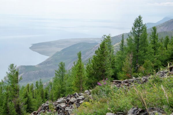 Capul Rîtîi pe malul lacului Baikal. - Sputnik Moldova