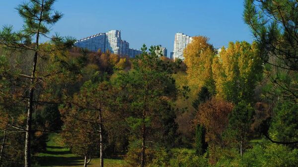 Ворота города - Sputnik Молдова