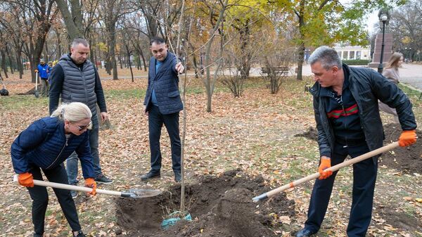 Кампания по озеленению в Приднестровье - Sputnik Молдова
