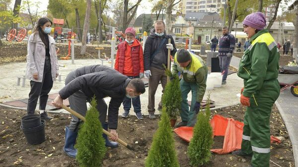 Arbori și arbuști plantați într-un scuar din sectorul Rîșcani al Capitalei - Sputnik Moldova