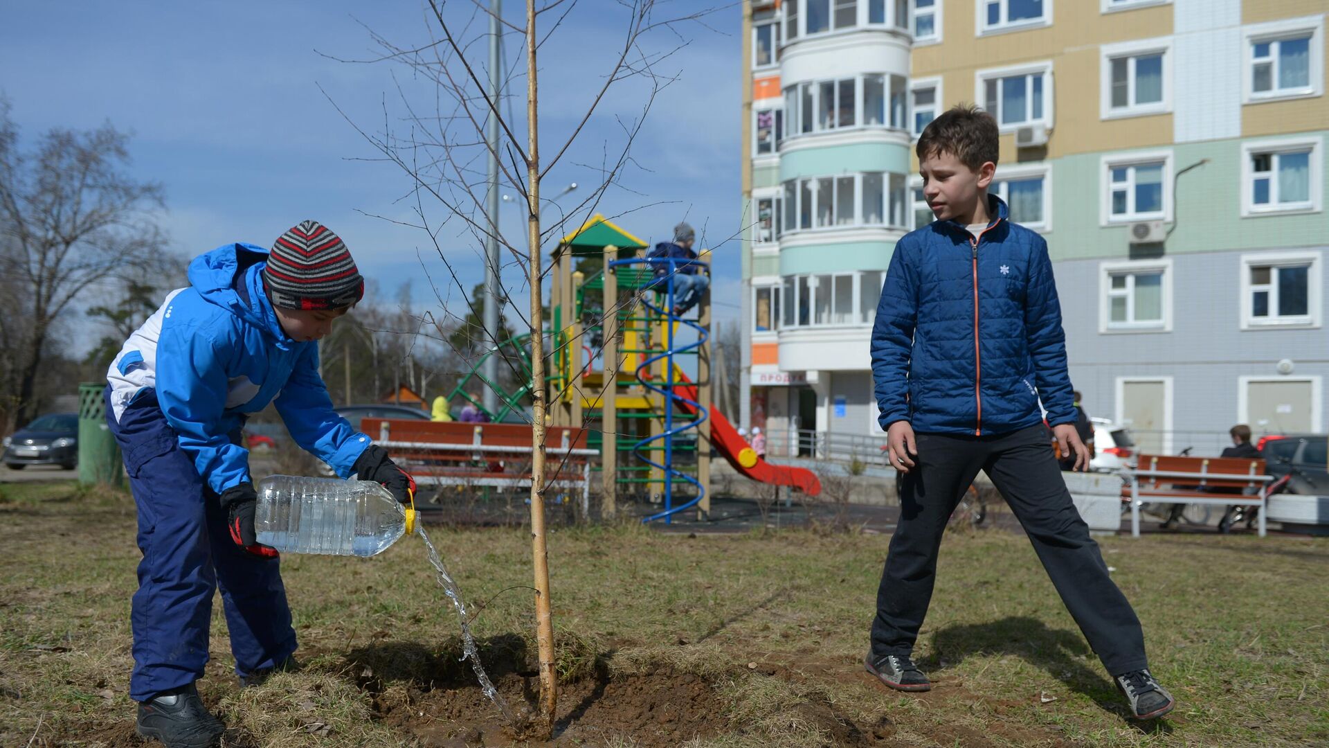  Înverzire, copaci, arbori, plantare copii  - Sputnik Moldova, 1920, 17.03.2023