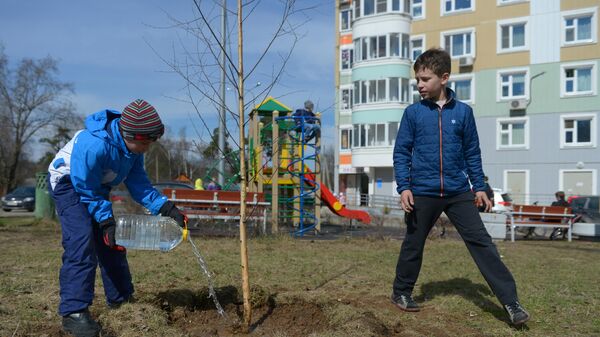  Înverzire, copaci, arbori, plantare copii  - Sputnik Moldova