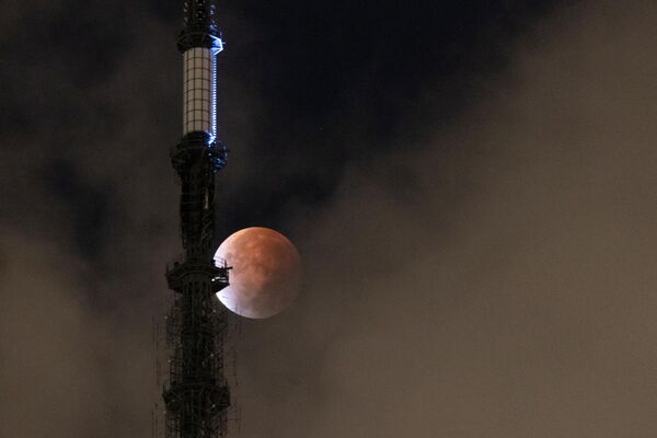 Corpul ceresc este contemplat, în timpul unei eclipse de Lună, de către un observator care se află în spatele One World Trade Center din New York, 19 noiembrie 2021, SUA. - Sputnik Moldova-România