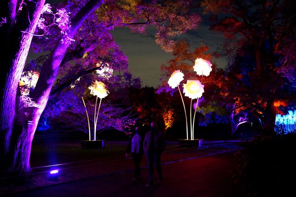 Oamenii se plimbă la expoziția Lightscape, cu peste un milion de lumini, la Grădina Botanică din Brooklyn - Sputnik Moldova-România