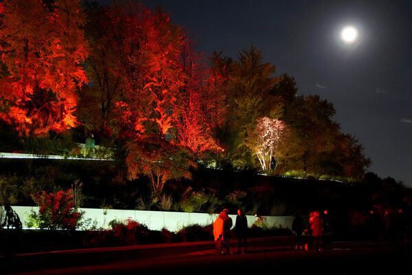 Oamenii se plimbă la expoziția Lightscape, cu peste un milion de lumini, la Grădina Botanică din Brooklyn - Sputnik Moldova