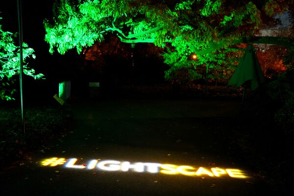 O vedere a expoziției Lightscape, cu peste un milion de lumini, la Grădina Botanică din Brooklyn - Sputnik Moldova