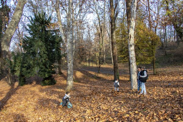 Educație prin observație: două mame și-au dus micuții în Parcul Carol pentru a vedea natura toamna. - Sputnik Moldova-România