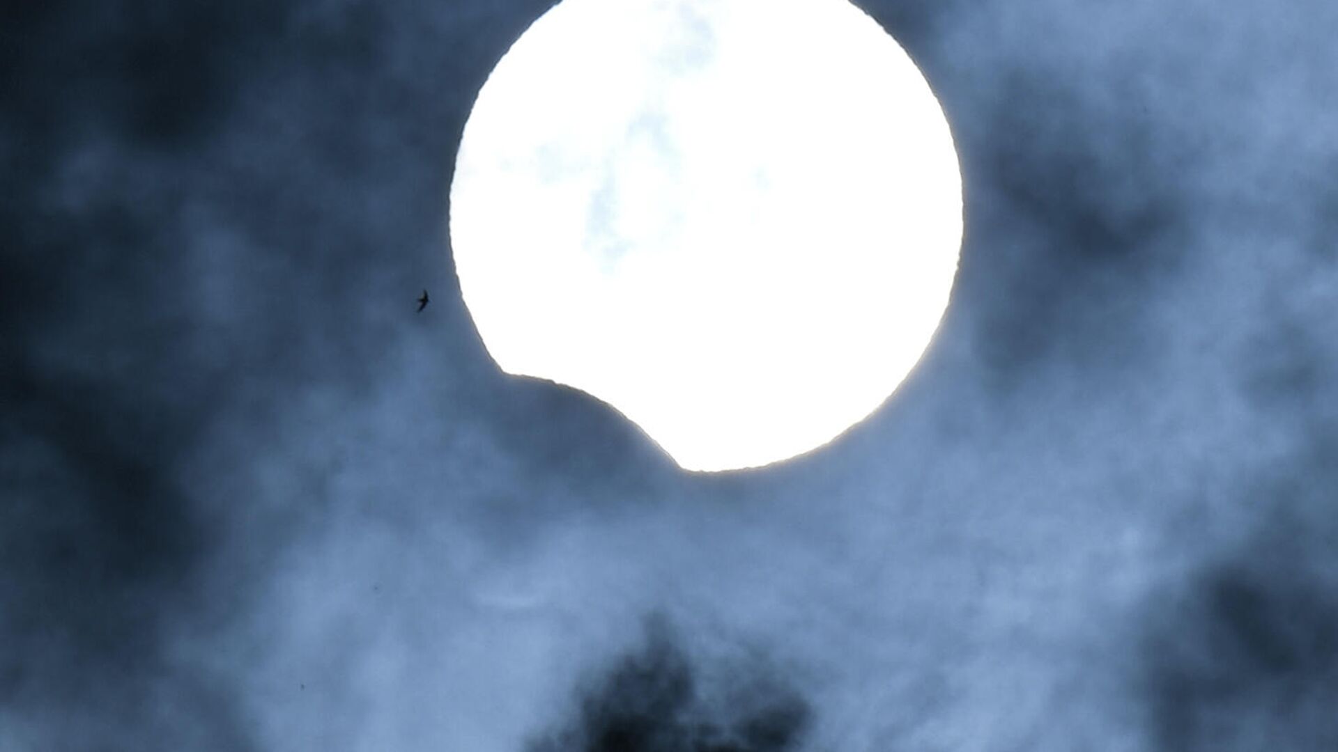 Частичное солнечное затмение - Sputnik Молдова, 1920, 04.12.2021
