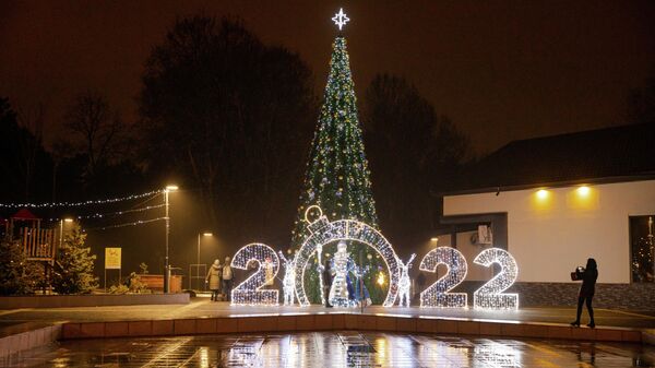 Новогодние елки на Ботанике Кишинев 2021 - Sputnik Молдова