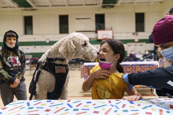 Девочка и собака-терапевт во время вакцинации в одной из школ Потакета, США. - Sputnik Молдова