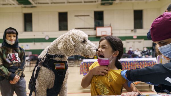Девочка и собака-терапевт во время вакцинации в одной из школ Потакета, США - Sputnik Молдова