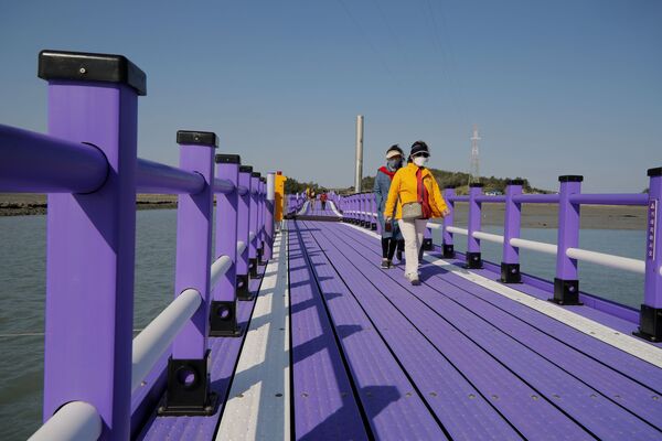 Туристы идут по пурпурному мосту в провинции Южная Чолла в Южной Корее - Sputnik Молдова