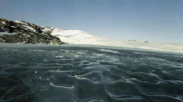 Антарктический ледник. - Sputnik Молдова
