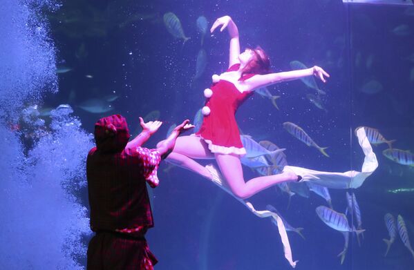 Дайвер выступает в аквариуме Aqua Planet в Кояне, Южная Корея, 2016 год. - Sputnik Молдова