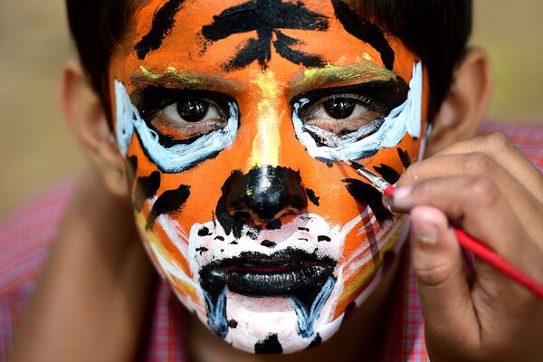 Рисунок тигра на лице у мальчика. - Sputnik Молдова