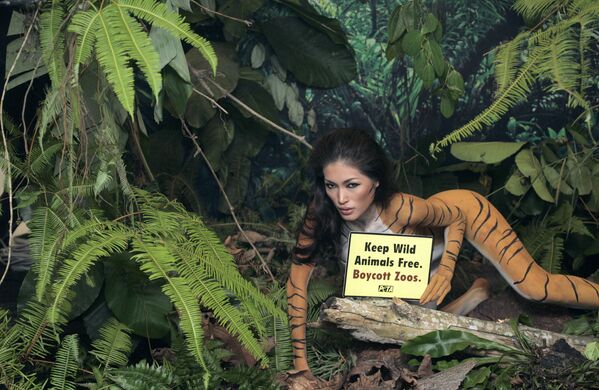 Малазийская модель Амбер Чиа держит девиз &quot;Держите диких животных свободными: бойкотируйте зоопарк&quot;. - Sputnik Молдова