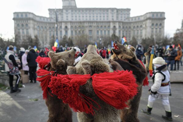 Protestatari îmbrăcaţi în costume de urs s-au prins în dansul ursului pentru a alunga parcă spectrul fricii care bântuie lumea, îndemnând la o redeşteptare în poporul român a curajului de a lupta pentru drepturi şi libertate. - Sputnik Moldova-România