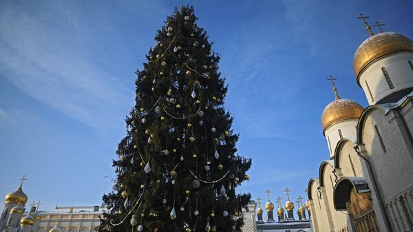 Главная новогодняя елка страны на Соборной площади Кремля - Sputnik Молдова
