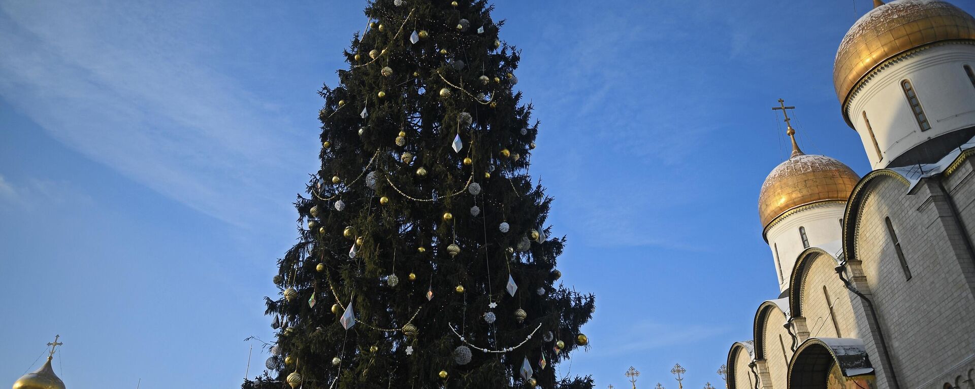 Главная новогодняя елка страны на Соборной площади Кремля - Sputnik Молдова, 1920, 22.12.2021