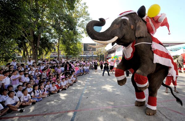 Un elefant îmbrăcat în costumul lui Moș Crăciun joacă în timpul unui festival la o școală din provincia Ayutthaya, Bangkok - Sputnik Moldova