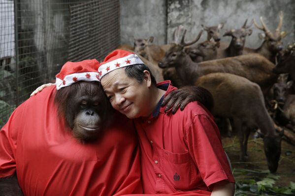 Орангутанг по имени Пакьяо и владелец зоопарка на Филиппинах Мэнни Тангко в костюмах Санта-Клауса демонстрируют рождественские &quot;обнимашки&quot;. - Sputnik Молдова