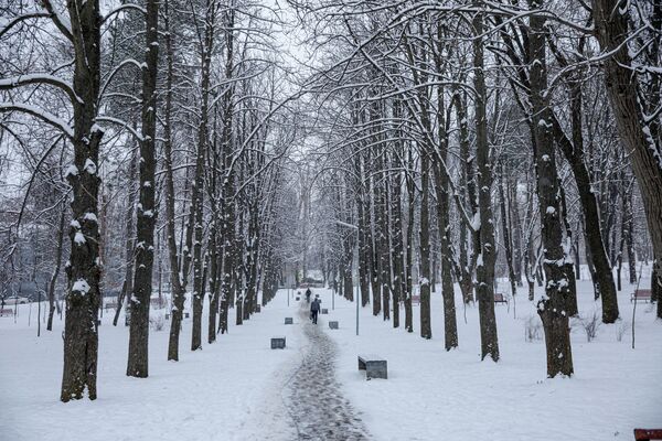 Feerie albă în parcul Ștefan cel Mare din Capitală - Sputnik Moldova
