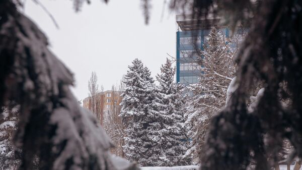 Снег в Кишиневе - Sputnik Молдова