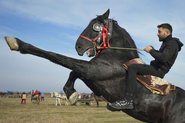 Наездник на лошади во время празднования Крещения Господня в румынской деревне Пьетросани. - Sputnik Молдова